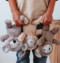 Load image into Gallery viewer, Clementine Rabbit - Mini Plush