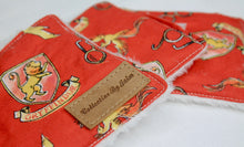 Load image into Gallery viewer, House Reusable Wipes Set